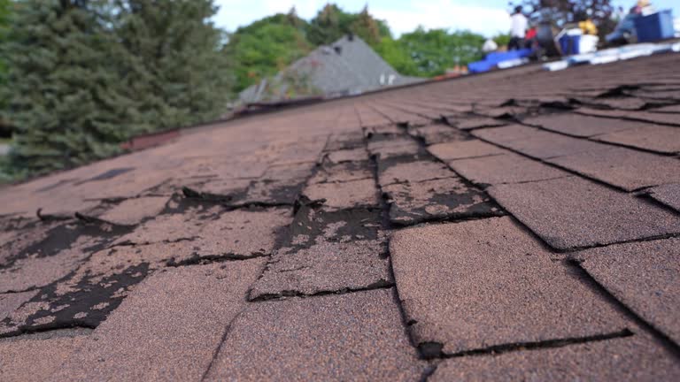 Best Roof Waterproofing  in Pottstown, PA